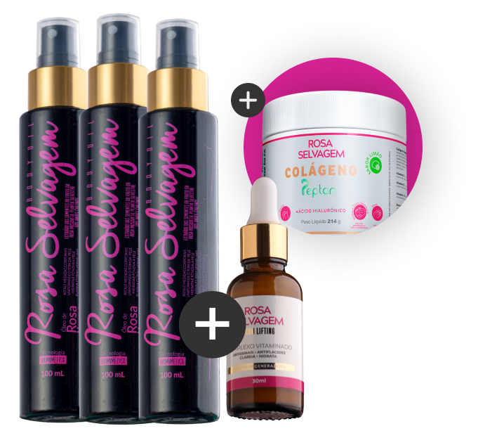 Rosa Selvagem - Óleo